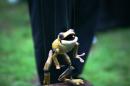 Petites Fables 13 * 4368 x 2912 * (3.87MB)